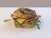 Pastrami Bagel